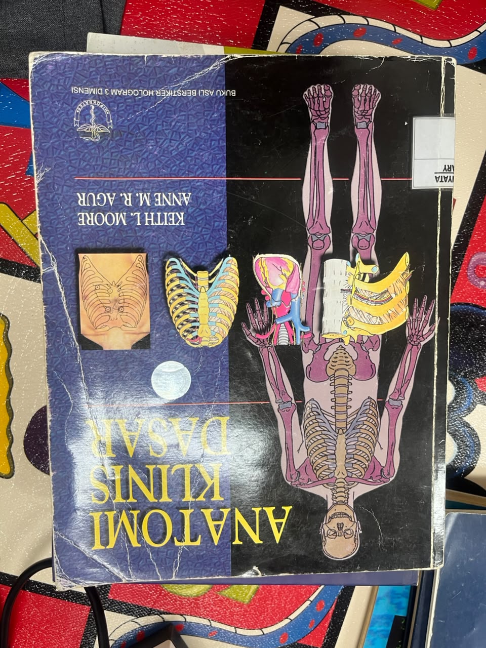 Anatomi Klinis Dasar